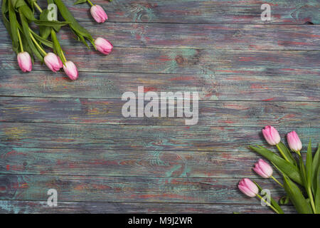 Grenze von frischem rosa Frühling Tulpen in einer Reihe auf rustikalen multicolor Holzbretter angeordnet. Mit Platz kopieren Stockfoto