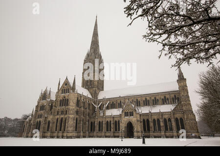 Im späten Winter Schnee decken die Stadt Salisbury, der nur die Domstadt in die Landschaft von England, der Grafschaft Wiltshire, Vereinigtes Königreich Stockfoto