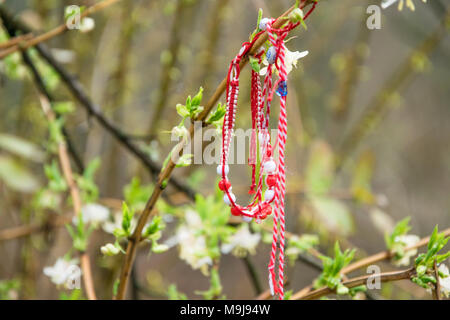 Bin artenitsa" - traditionelle bulgarische wollene Armband auf der Blüte Baum gebunden Stockfoto