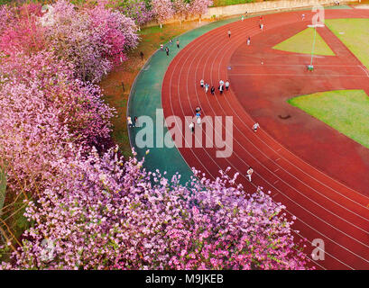 Liuzhou, China Guangxi Zhuang autonomen Region. 25 Mär, 2018. Studierenden an Lushan Hochschule in Liuzhou, South China Guangxi Zhuang autonomen Region, 25. März 2018. Credit: Li Hanchi / Xinhua/Alamy leben Nachrichten Stockfoto