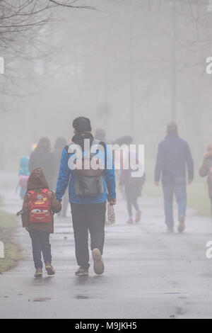 Aberystwyth Wales UK, Dienstag, 27. März 2018 Deutschland Wetter: Ein grauer Nebel und nebliger Morgen in Aberystwyth Wales als Menschen, ihre Kinder in die Grundschule gehen Sie den Baum Plascrug Avenue Foto © Keith Morris/Alamy Leben Nachrichten gefüttert Stockfoto