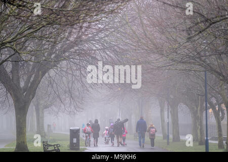 Aberystwyth Wales UK, Dienstag, 27. März 2018 Deutschland Wetter: Ein grauer Nebel und nebliger Morgen in Aberystwyth Wales als Menschen, ihre Kinder in die Grundschule gehen Sie den Baum Plascrug Avenue Foto © Keith Morris/Alamy Leben Nachrichten gefüttert Stockfoto