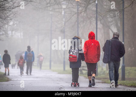 Aberystwyth Wales UK, Dienstag, 27. März 2018 Deutschland Wetter: Ein grauer Nebel und nebliger Morgen in Aberystwyth Wales als Menschen, ihre Kinder in die Grundschule gehen Sie den Baum Plascrug Avenue Foto © Keith Morris/Alamy Leben Nachrichten gefüttert Stockfoto
