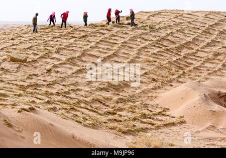 (180327) - ZHANGYE, 27. März 2018 (Xinhua) - Anti-wüstenbildung Freiwilligen ein Stroh Schachbrettmuster Sand Barriere in Linze Grafschaft von Zhangye stärken, im Nordwesten der chinesischen Provinz Gansu, 27. März 2018. Mehr als zwei Drittel der Linze County ist von Wüste bedeckt. Seit Jahren, die Grafschaft hat wirksame Maßnahmen im Kampf gegen die Wüstenbildung. (Xinhua / Wang Jiang) (lmm) Stockfoto