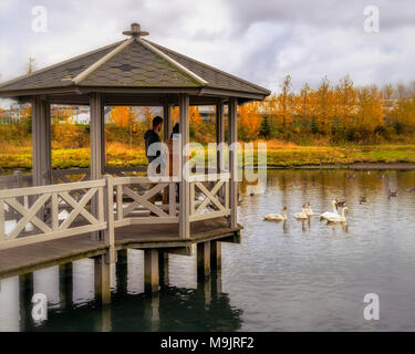 Familie Füttern der Vögel von einem Pavillon, Herbst, Kopavogur, Island Stockfoto