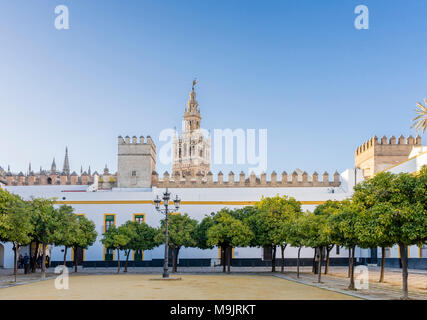 Patio de Banderas Plaza/Innenhof/Platz im historischen Stadtzentrum von Sevilla mit der Giralda Turm im Hintergrund 2018, Andalusien, Spanien Stockfoto