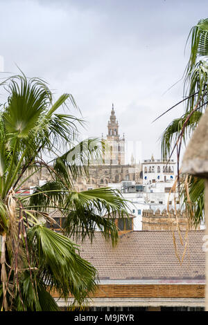 Blick auf die Altstadt von Sevilla auf die Giralda Glockenturm der Kathedrale von Sevilla, Sevilla, Andalusien, Spanien Stockfoto