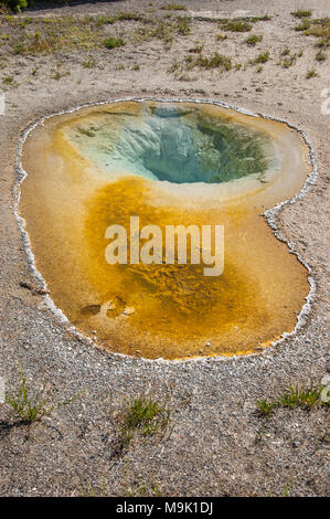 Einen nierenförmigen Teich von heißem Wasser umgibt ein Waschbecken Loch mit türkisfarbenem Wasser Stockfoto