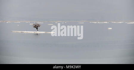 Salz Inseln auf dem Toten Meer an einem bewölkten Tag Stockfoto