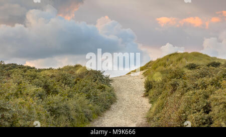 Anschluss durch die Dünen zum Strand in der Provinz Zeeland in den Niederlanden Stockfoto