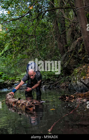 Ein Mann ist das Sammeln von Rundholz im Fluss um eine improvisierte Floß zu bauen. Konzept der Kreativität, Zielstrebigkeit und Motivation beim Überleben in Stockfoto