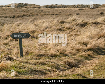 Fußweg Holzschild in den Dünen, Aberlady Nature Reserve, East Lothian, Schottland, Großbritannien Stockfoto