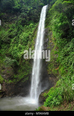 Rainbow Wasserfall, auch als Catarata Arco Iris bekannt ist, ist der dritte von fünf Wasserfällen entlang des Wanderweges an Viento Fresco Wasserfälle in Costa Rica Stockfoto