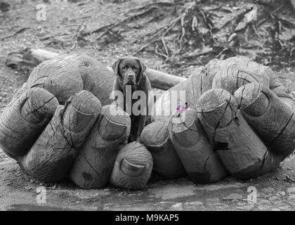 Lake District, England, Vereinigtes Königreich Stockfoto