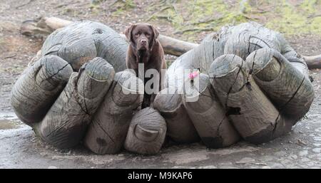 Lake District, England, Vereinigtes Königreich Stockfoto