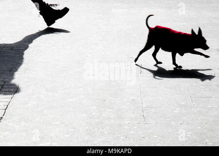 Unscharfe silhouette Schatten von einem kleinen Hund und seinen Besitzer walking city street Stockfoto