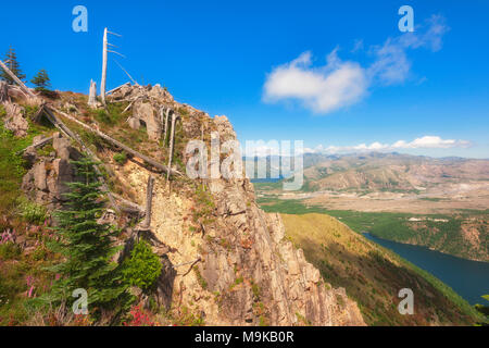 Copyspace in dieser Landschaft Blick von in der Nähe von Castle Peak, vor Schloss See in der Nähe von Mt. St. Helens in Gifford Pinchot National Forest. Mt. Rai Stockfoto