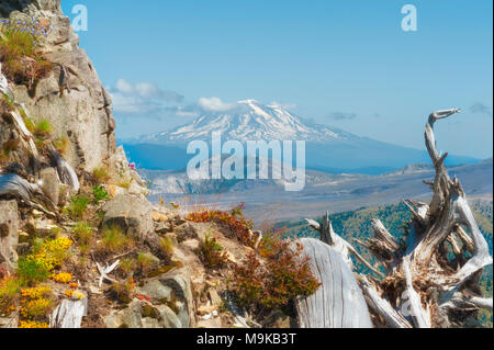 Auf die Landschaft in der Nähe von Castle Peak, vor Schloss See in der Nähe von Mt. St. Helens in Gifford Pinchot National Forest. Mt. Adams kann Stockfoto