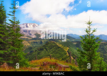 Atemberaubende Sicht auf den Mt. St. Helens unter blauem Himmel mit flauschigen weissen Wolken. Ein service road kann unten scheinbar in Richtung der Berge gesehen werden. Stockfoto