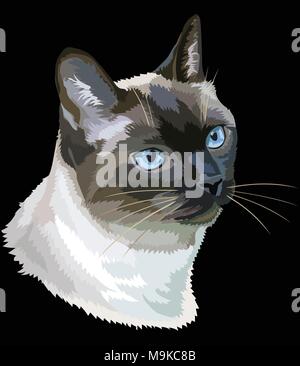Vektor Kontur bunte Portrait von neugierig Siamesische Katze in Schwarz, Weiß, Braun und Grau. Abbildung: auf schwarzem Hintergrund Stock Vektor
