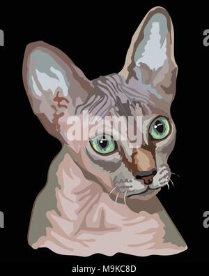 Vektor Kontur bunte Porträt der unbehaarten neugierig Sphynx Cat in rosa und grauen Farben. Abbildung: auf schwarzem Hintergrund Stock Vektor