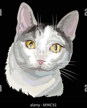 Vektor Kontur bunte Portrait von neugierig Mongrel Katze in Schwarz, Weiß und Grau Farben. Abbildung: auf schwarzem Hintergrund Stock Vektor