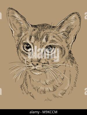 Vektor Kontur monochrome Portrait von neugierig Abessinier Katze in den Farben Schwarz und Weiß. Hand Zeichnung Abbildung auf braunem Hintergrund isoliert Stock Vektor