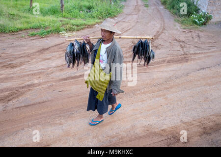 Ein Fischer mit Fisch, den er im See Inle gefangen. Tonne Hone Brücke, Shan Staat, Myanmar. Stockfoto