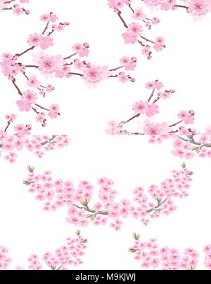 Sakura. Zwei Bilder mit zarten Blumen und üppiger cherry Knospen. Nahtlos und ohne Gitter und Gradient in Pastellfarben. Abbildung Stock Vektor