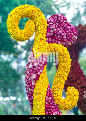 Xerochrysum bracteatum ist ein herzförmiges Ornament, Inneneinrichtung oder Garten benutzt werden, ist eine entspannende Landschaft für den Menschen zu schaffen. Stockfoto