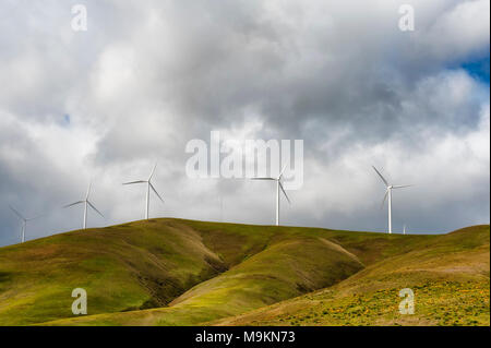 Windkraftanlagen stehen groß und stark gegen die Wüste Landschaft aus sanften Hügeln in der Columbia River Gorge Stockfoto