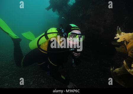 Scuba Diver mit großen Augen im dunklen Wasser open weiter fallenden reef Überhang Kelp. Stockfoto