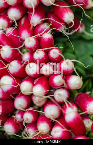 Ein Haufen von frisch geschnittenen Radieschen zum Verkauf von Obst und Gemüse zu den Borough Market in Central London. Bunte frische rote und grüne Radieschen. Stockfoto