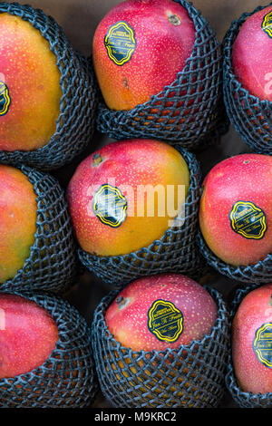 Ein Muster aus durch Reihen von Obst mangos am Borough Market in Central London. bunte Mango frisches Obst und Gemüse zum Verkauf auf einen Markt. Stockfoto