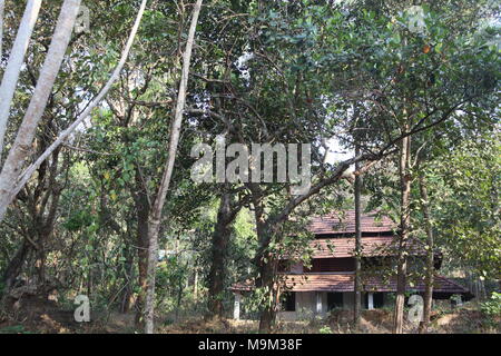 Traditionelle kerala Häuser mit 2 bis 3-stöckigen, Ziegeldach, in einem Dorf mit viel Grün Stockfoto