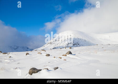 Klettern sie nach oben in Richtung Loch Brandy in Glen Clova Angus Schottland. Stockfoto