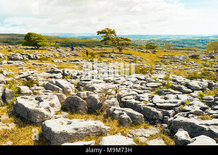 Wanderer auf Kalkstein Plasterung auf Holmepark fiel in der Nähe von Burton-in-Kendal, Cumbria. Stockfoto