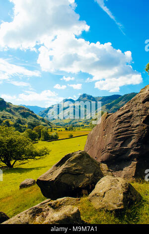 Die Langdale Pikes aus der Nähe von Copt Howe im Great Langdale im englischen Lake District Stockfoto