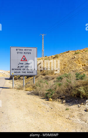 Dreisprachige Warnschild, hüten Sie sich vor den Kamelen in der Nähe der Straße, in der Wüste Negev im Süden Israels Stockfoto