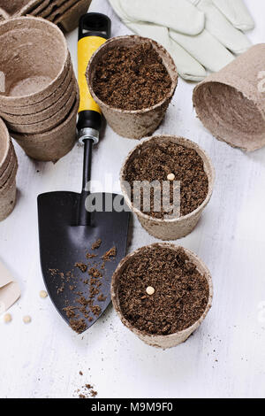 Gartengeräte, sämling Torf Töpfe, Samen und Erde auf eine weiße Holztisch. Bild geschossen von oben im flachen Stil legen. Stockfoto