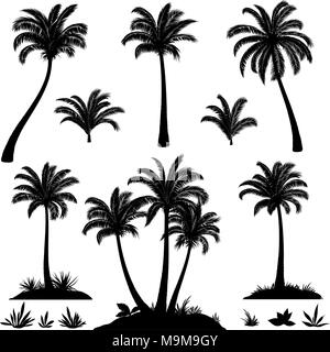 Palmen und Pflanzen Silhouetten Stock Vektor