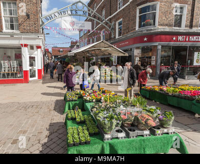 Shamble Verkaufsstände in York, North Yorkshire, England, Großbritannien Stockfoto