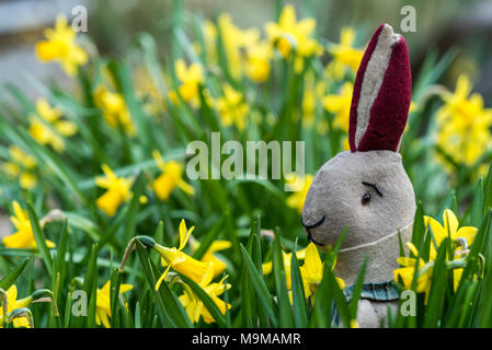 Spielzeug Kaninchen sitzen unter Narzissen, saisonalen Osterhasen. Stockfoto