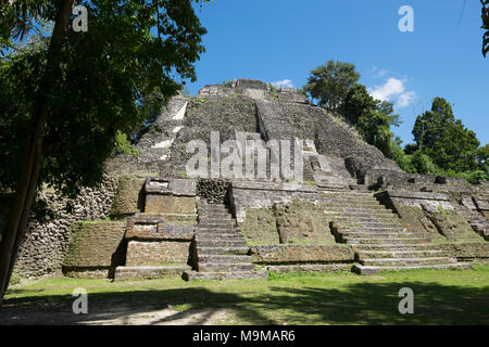 Alten Maya Ruinen und Tempel in der archäologischen Stätte von Lamanai, Belize, Central America Stockfoto