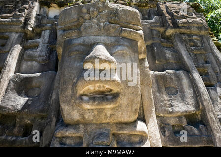 Alten Maya steinerne Maske eines Gottes in den Ruinen von Lamanai in Belize Stockfoto