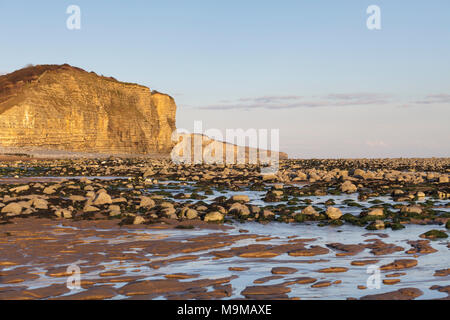 Am frühen Abend Licht auf die Kalkfelsen an llantwit Major Strand Stockfoto