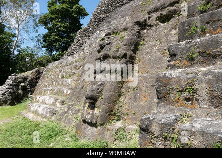 Alten Maya steinerne Maske eines Gottes in den Ruinen von Lamanai in Belize Stockfoto