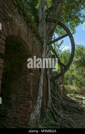 Tools und Factory Reste aus einem alten Zucker Verarbeitung Mühle aus der Mitte des 19. Jahrhunderts in Lamanai in Belize Stockfoto