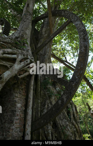 Tools und Factory Reste aus einem alten Zucker Verarbeitung Mühle aus der Mitte des 19. Jahrhunderts in Lamanai in Belize Stockfoto