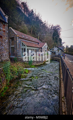 Cheddar (BDGWC) Stockfoto